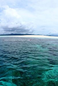 Pulau Pasir Timbul 6